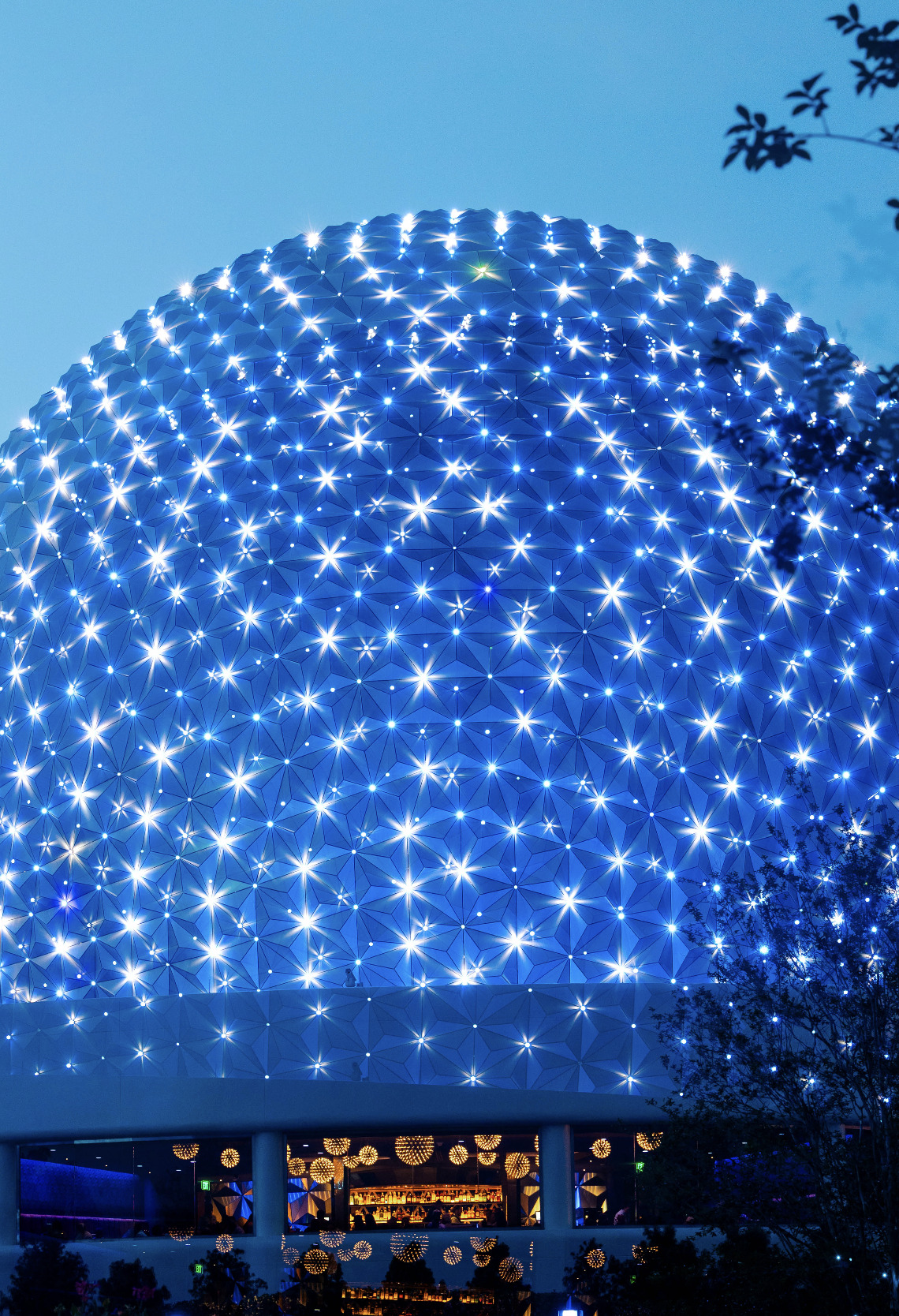 Featured image for “PHOTOGRAPHY”